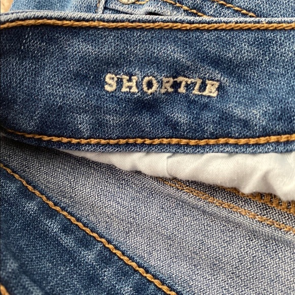 American Eagle Shorts - Picture 3 of 5